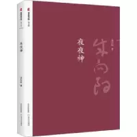 诺森夜夜神成向阳著9787537855082北岳文艺出版社