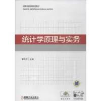 诺森统计学原理与实务瞿孙平9787111593874机械工业出版社