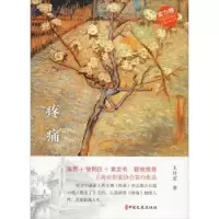 诺森疼痛王传宏著9787520504607中国文史出版社