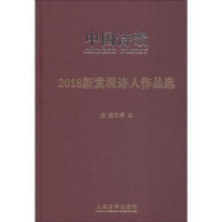 诺森2018新发现诗人作品选阎志主编97870201430人民文学出版社