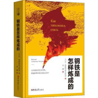诺森钢铁是怎样炼成的尼.奥斯特洛夫斯基9787569220124吉林大学
