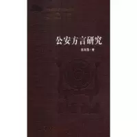 诺森方言研究袁海霞著9787562280583华中师范大学出版社