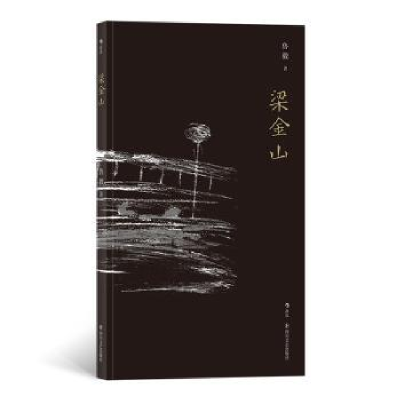 诺森梁金山鲁毅 后浪9787541150807四川文艺出版社