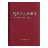 诺森河间文化艺术志郝双良主编9787801920997方志出版社