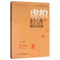 诺森虚拟经济理论与实践张红伟9787569020571四川大学出版社