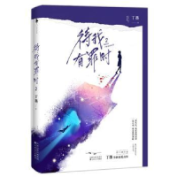 诺森待我有罪时:2:2丁墨9787530677766百花文艺出版社