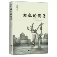 诺森错乱的影子劳马9787559420268江苏凤凰文艺出版社