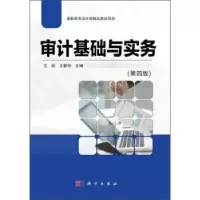 诺森审计基础与实务王拓9787030634399科学出版社