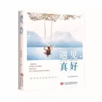 诺森遇见,真好雨儿的世界著9787514249文化发展出版社