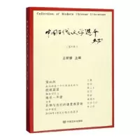 诺森中国当代文学选本(辑)王昕朋9787517134275中国言实出版社
