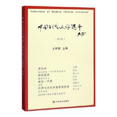 诺森中国当代文学选本(辑)王昕朋9787517134275中国言实出版社