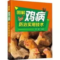 诺森图解鸡病防治实用技术李婧97871261化学工业出版社