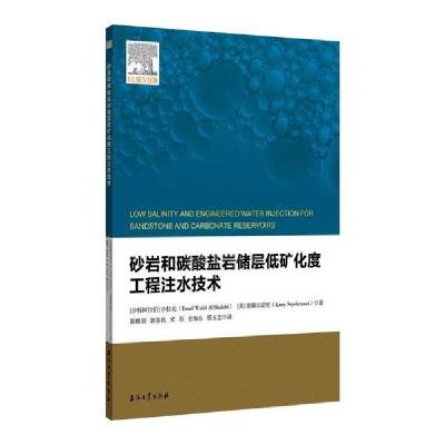 诺森砂岩和碳酸盐岩储层低矿化度工程注水技术