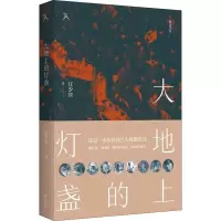 诺森大地上的灯盏江少宾9787546193816山社