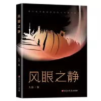 诺森风眼之静九层9787550042827百花洲文艺出版社