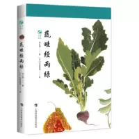 诺森蔬畦经雨绿徐红燕9787542875945上海科技教育出版社