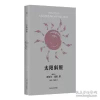 诺森太阳斜照[爱尔兰]多纳尔·瑞安9787532179473上海文艺出版社