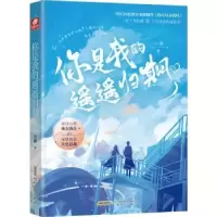 诺森你是我的遥遥归期(2)川澜9787539675329安徽文艺出版社