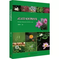 诺森武汉常见植物图鉴杨春松9787568088565华中科技大学出版社