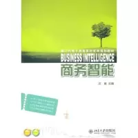 诺森商务智能汪楠主编9787301198995北京大学出版社