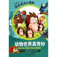 诺森动物世界真奇妙纸上魔方编著9787209065818山东人民出版社