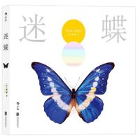 诺森迷蝶(法)阎雷(Yann Layma)著9787550290389北京联合出版公司