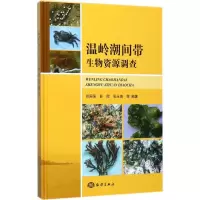 诺森温岭潮间带生物资源调查肖国强9787502798710海洋出版社