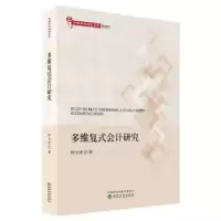 诺森多维复式会计研究钞天虎9787521804942经济科学出版社