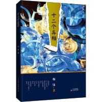 诺森十二个异相梅钰9787537860093北岳文艺出版社