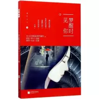诺森梦醒时见你草灯大人9787559407528江苏凤凰文艺出版社