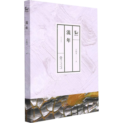 诺森流年王海文 著9787552564624阳光出版社