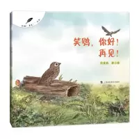 诺森笑鸮,你好!再见!尹爱婷9787542876201上海科技教育出版社