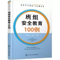 诺森班组安全教育100例崔政斌,张美元978712021化学工业出版社