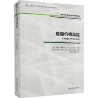 诺森能源价格风险[英]汤姆·詹姆斯9787509683736经济管理出版社