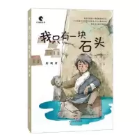 诺森我只有一块石头唐明,张雅文9787541165214四川文艺出版社