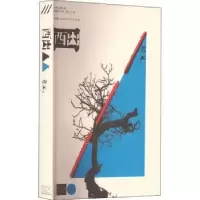 诺森西出老云9787532183135上海文艺出版社