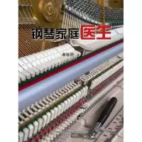 诺森钢琴家庭医生秦敏静著9787531348641春风文艺出版社