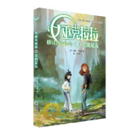 诺森女巫克拉拉之是敌是友琳恩·卡波布9787505445345朝华出版社