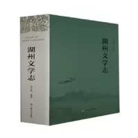 诺森湖州文学志沈文泉9787532178865上海文艺出版社