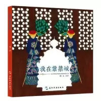 诺森我在紫禁城吴洋9787508540900五洲传播出版社