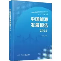 诺森中国能源发展报告(2022)林伯强9787561589250厦门大学出版社