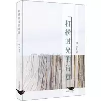 诺森打捞时光的诗意峻冰著9787540264499北京燕山出版社