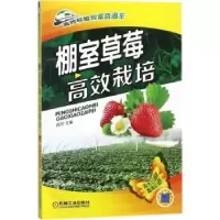 诺森棚室草莓高效栽培路河主编9787111587781机械工业出版社