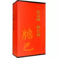 诺森元 赵孟頫 胆巴碑刘园9787539840789安徽美术出版社