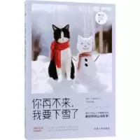 诺森你再不来,我要下雪了黄小刀著9787215092747河南人民出版社