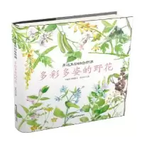 诺森多彩多姿的野花匡廷云著9787557839727吉林科学技术出版社