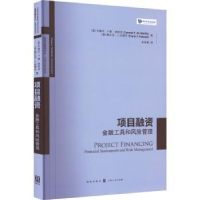 诺森项目融资:金融工具和风险管理