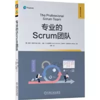 诺森专业的Scrum团队