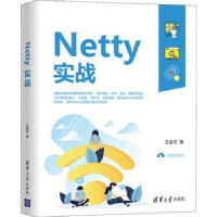 诺森Netty实战王金柱著9787302563402清华大学出版社