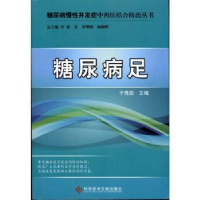 诺森糖尿病足于秀辰主编9787508876科学技术文献出版社